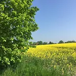 Mein-ostseeplaetzchen 3*