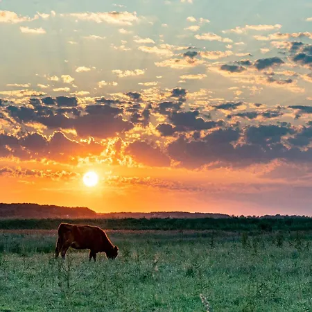 Mein-ostseeplaetzchen Отель типа 