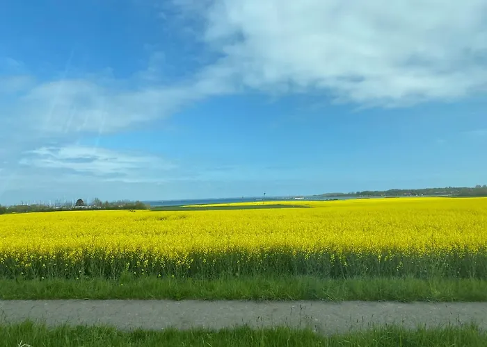 Frühstückspension Mein-ostseeplätzchen Niesgrau