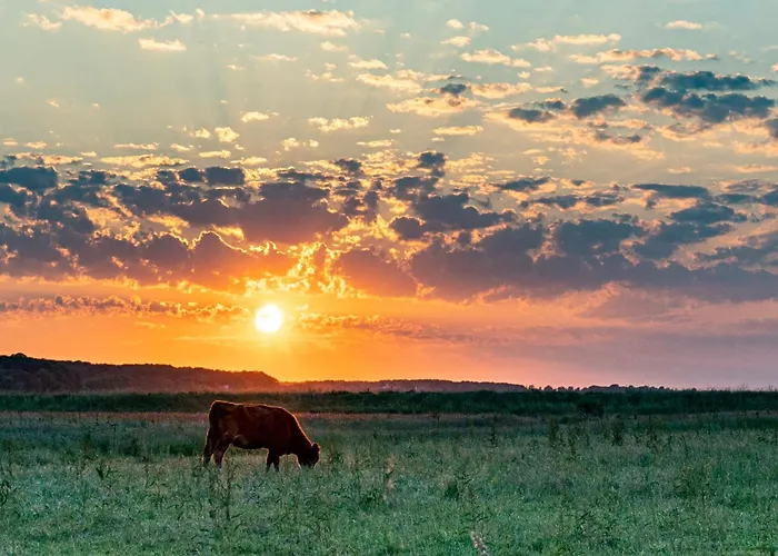 Mein-ostseeplätzchen Frühstückspension