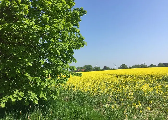 Mein-ostseeplätzchen 3*